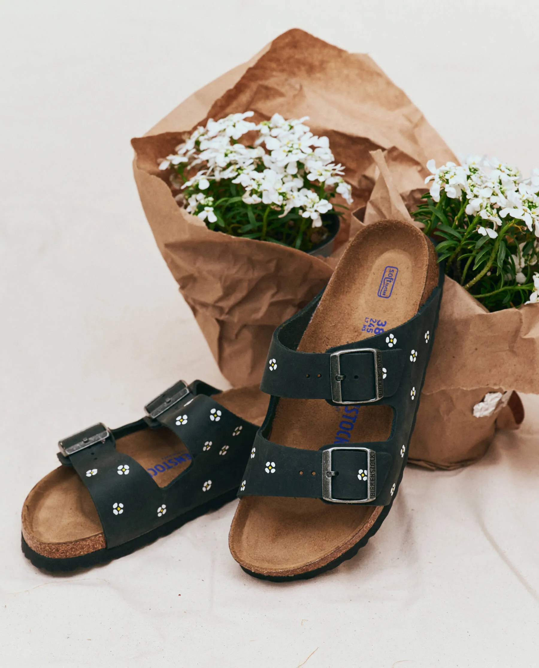 BIRKENSTOCK Arizona with Hand Painted Tooled Daisy. -- Black Oiled Leather with Cream