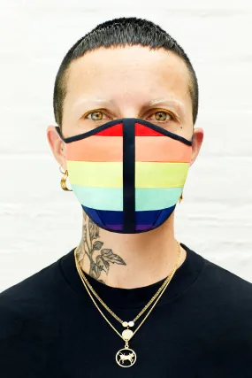 Rainbow Gay Pride face mask