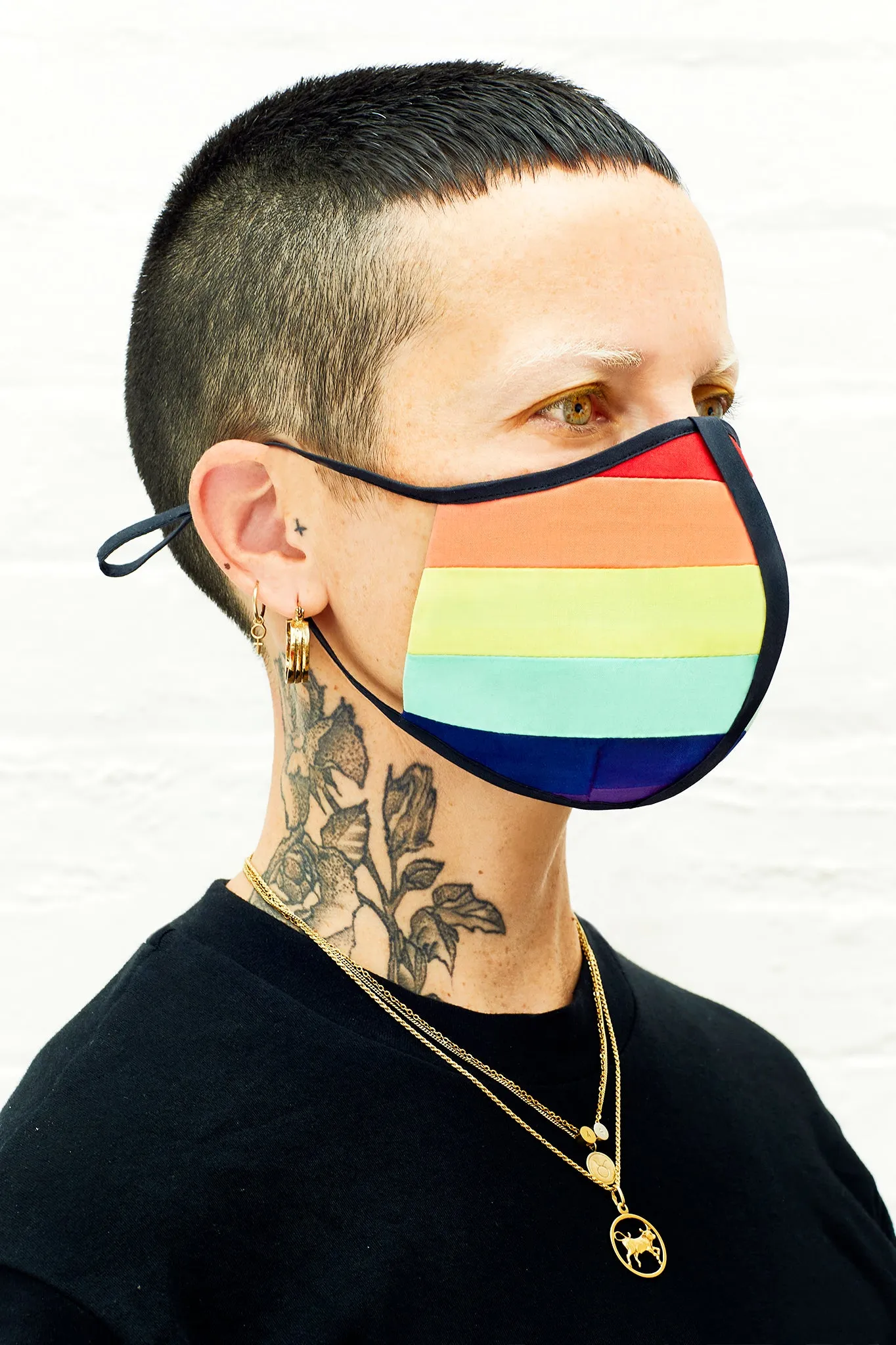 Rainbow Gay Pride face mask