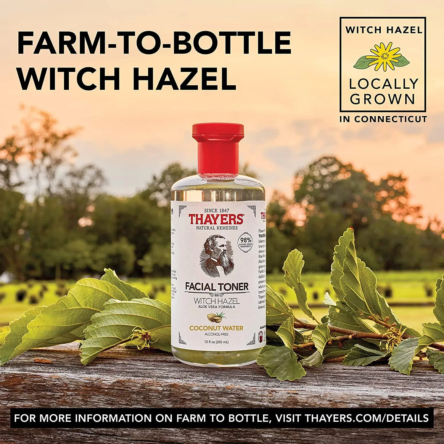 THAYERS Alcohol-Free Coconut Water Witch Hazel Facial Toner with Aloe Vera Formula, 12 oz Coconut Water 12 Fl Oz