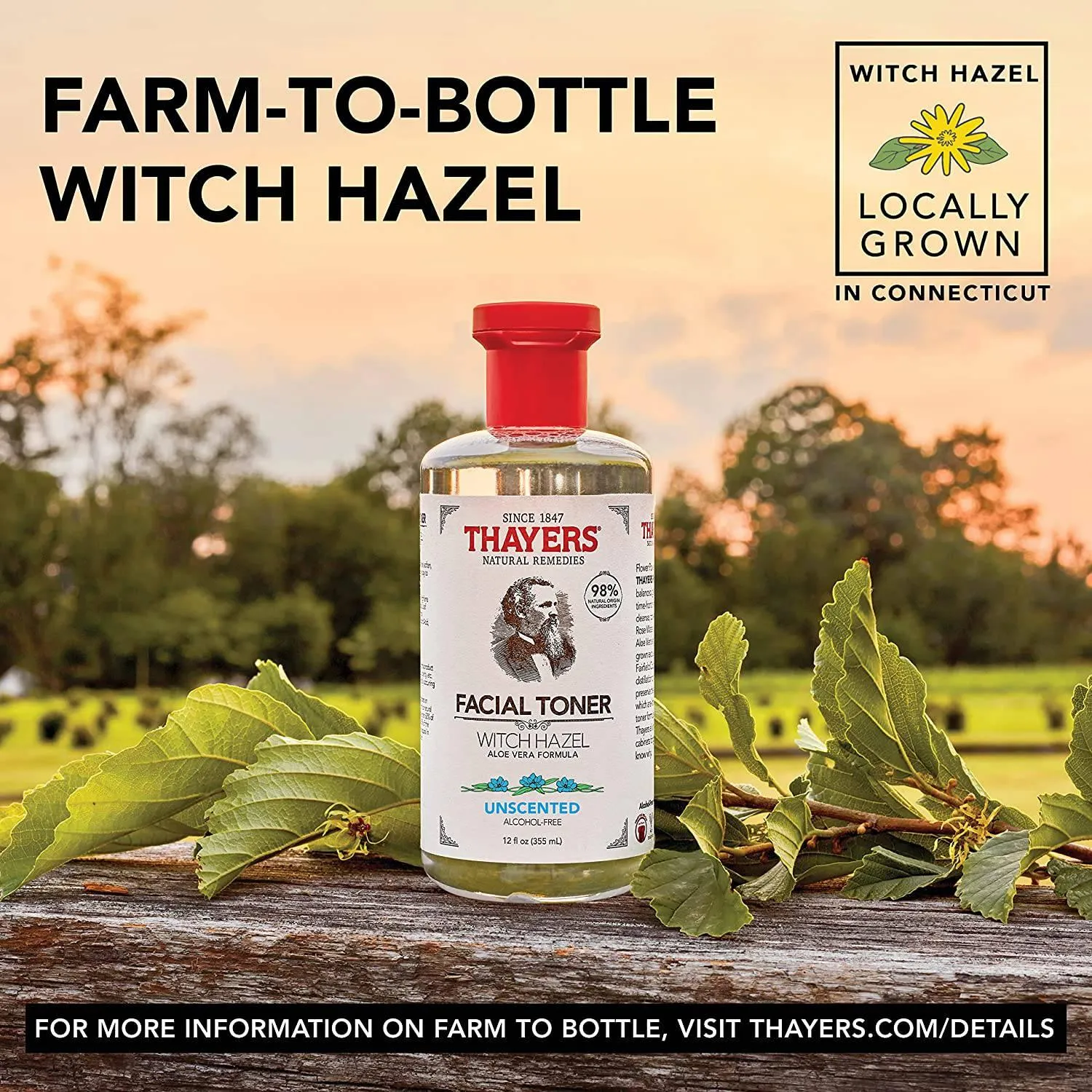 THAYERS Alcohol-Free Unscented Witch Hazel Facial Toner with Aloe Vera Formula, 12 oz Unscented 12 Fl Oz